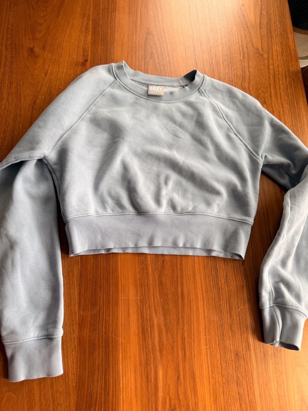 Aritzia TNA Cozy Crop Crewneck Sweatshirt in Dusty Blue